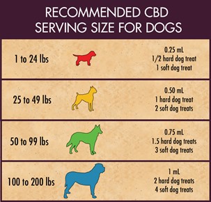 Recommended CBD Serving Size for Dogs based on Weight